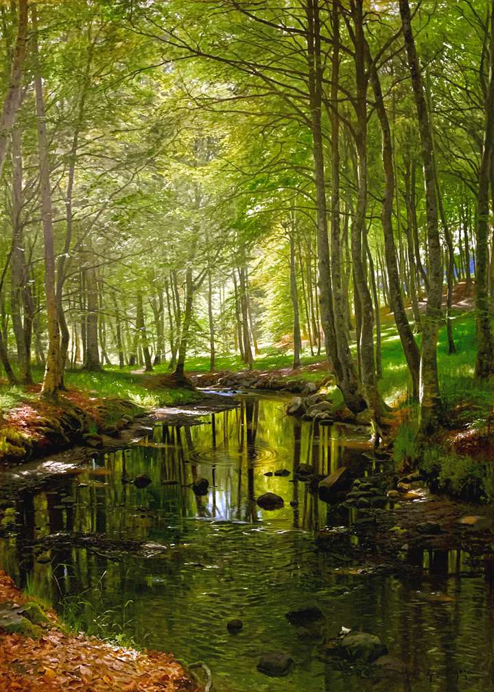 A spring day at a stream in the forest at Moesgaard near Aarhus